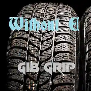 Picture for song 'GIB - GRIP' by artist 'WITHOUT E'