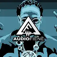 Picture for song 'Spendin (2 Chainz Type)' by artist 'Audio Fiene'