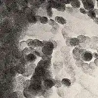 Picture for song 'Finger Prints' by artist 'Black Chalk'