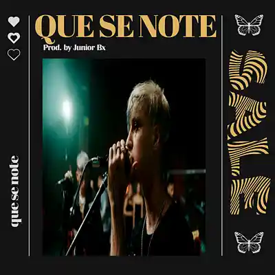 Picture for song 'QUE SE NOTE' by artist 'Junior on the beat'