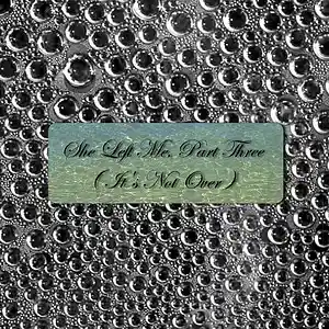Picture for song 'She Left Me, Part Three ( It's Not Over )' by artist 'lauryl laureth'