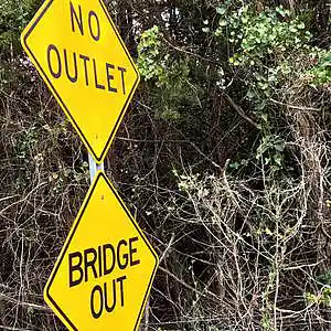 Picture for song 'High Heeling: Bridge Out Session' by artist 'paul gorman and the hypnotist collectors'