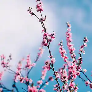 Picture for song 'Lights' by artist 'P.R Beats'