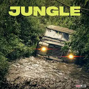 Picture for song 'JUNGLE' by artist 'Redlabo Music'