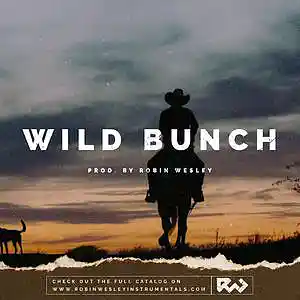 Picture for song 'Wild Bunch' by artist 'Robin Wesley'