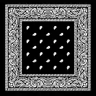 Picture for song 'Black Bandana Sample2' by artist 'SlicCViet'
