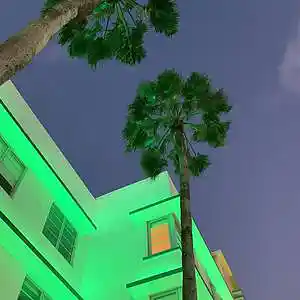 Picture for song 'Fantasy' by artist 'Steli'