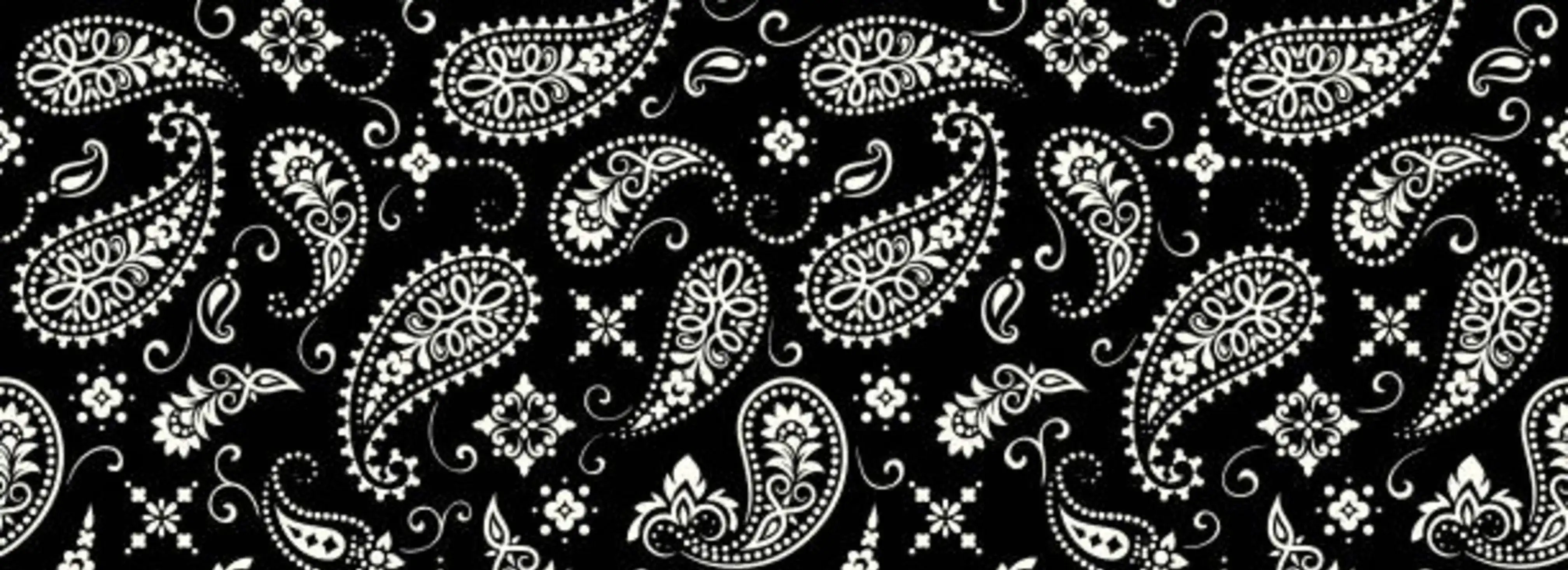 cover pic