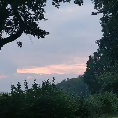 Picture for song '20240924_162453_FS_' by artist '786 scheint-Al'lahs Bande'