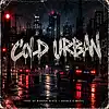 Picture for song 'Cold Urban ( Grime / Uk Rap / Hip Hop ) - 87 bpm' by artist 'Biggish Beats'