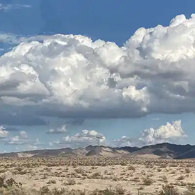 Picture for song 'Looking Back View' by artist 'Johanna Renfro'