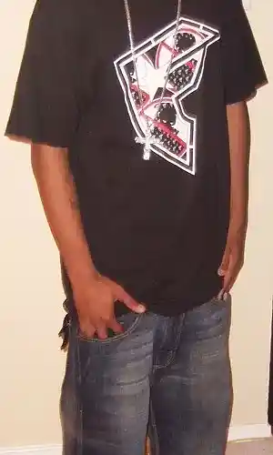 Artist picture