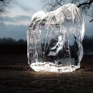 Picture for song 'Where did your mind go' by artist 'Seagull (FMS)'