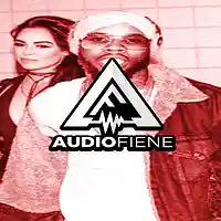 Picture for song 'R&bBish' by artist 'Audio Fiene'