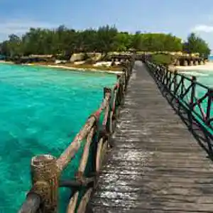 Picture for song 'Island Lover' by artist 'JOLS CONTRL'