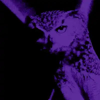 Picture for song 'B4 The Hour (Kendrick Lamar x J Cole)' by artist 'LEXI BANKS'