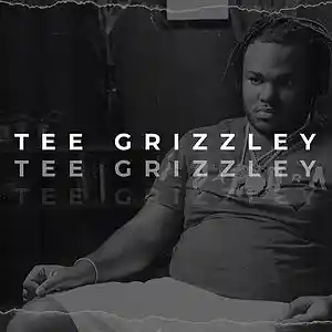 Picture for song 'Tee Grizzley x Lud Foe Type Beat - Nines' by artist 'LuxuryBeats'