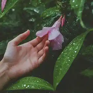 Picture for song 'Touch' by artist 'Makaih Beats'