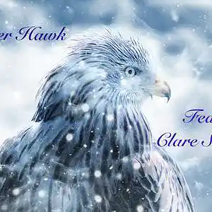 Picture for song 'WINTER HAWK (feat. Clare Steffen)' by artist 'Round The Globe'