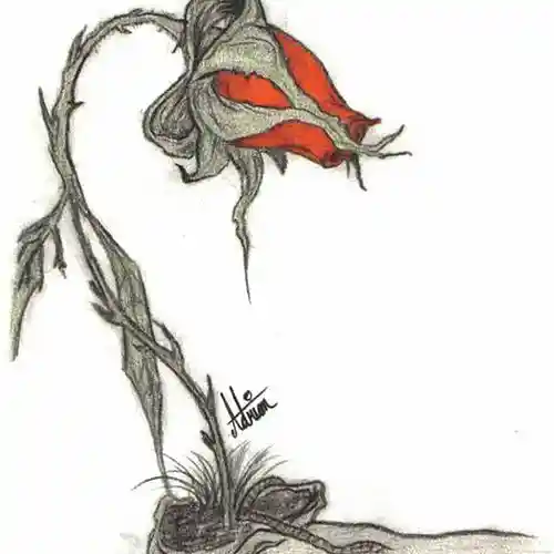 Artist picture