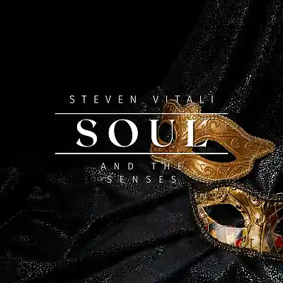 Picture for song 'Soul And The Senses the Single' by artist 'Steven Vitali'