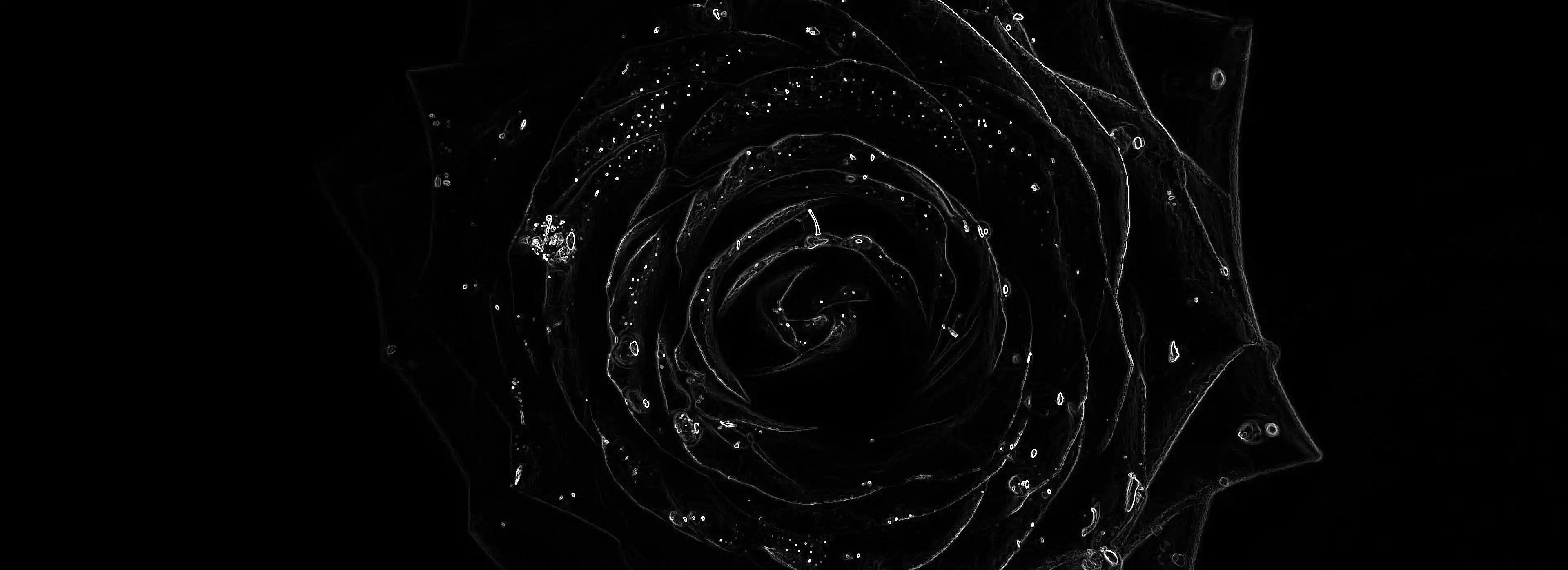 cover pic