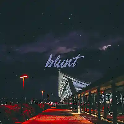 Picture for song 'blunt' by artist 'darkside beatss'