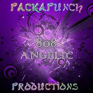 Picture for song '808 Angelic' by artist 'DJ Smuggler'