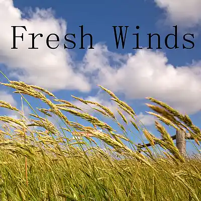 Picture for song 'Fresh Winds' by artist 'Keith Mitchell'