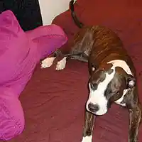 Picture for song 'Lay Your World on Me' by artist 'Nightbreaker'