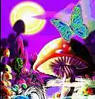 Picture for song 'hill riff' by artist 'Not Quite There Yet'