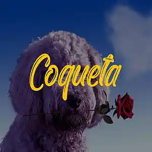 Picture for song 'Coqueta' by artist 'Songr Beats'