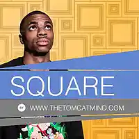 Picture for song 'Square ' by artist 'TheTomcatMind'
