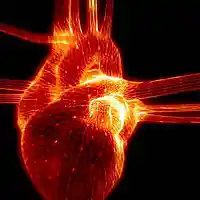Picture for song 'Heart of a Champion (Prod By Armen Grigoryan)' by artist 'armenbeats'
