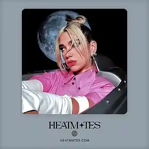 Picture for song 'Perfection (Dua Lipa x Ariana Grande)' by artist 'HEATMATES'