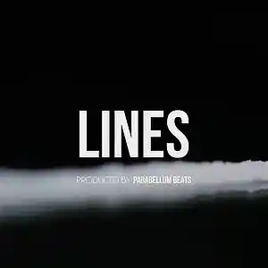 Picture for song 'Lines' by artist 'Parabellum Beats'