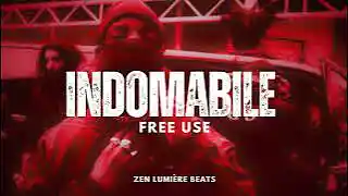 Picture for song 'INDOMABILE DRILL BEAT' by artist 'Zen Lumiere'