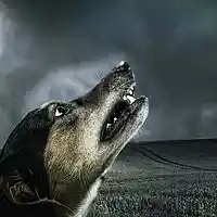 Picture for song 'Horror Story' by artist 'Digital Flashback Beats'