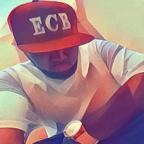 Artist picture
