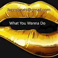 Picture for song 'What you wanna do' by artist 'Jazzi Jaa'