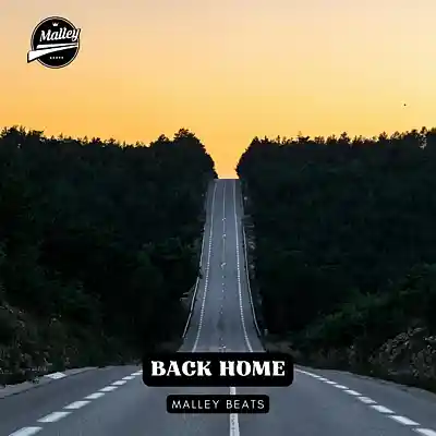 Picture for song 'BACK HOME [MORGAN WALLEN COUNTRY TYPE BEAT]' by artist 'Malley Beats'