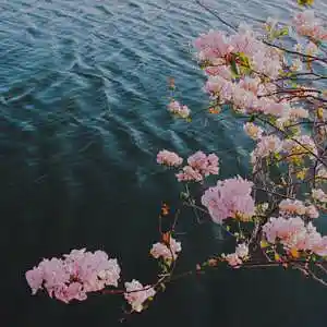 Picture for song 'N o M o r e' by artist 'og naj'