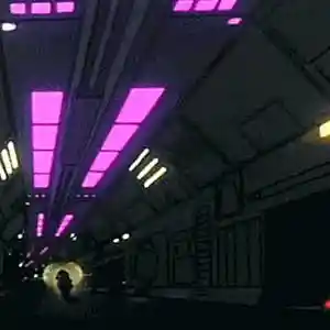 Picture for song 'soda - playboi carti type beat' by artist 'prod.allyd'