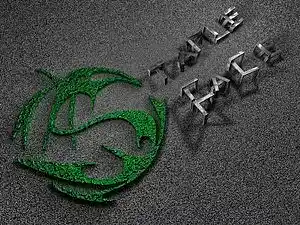 cover pic