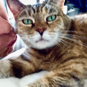 Picture for song 'rename test 1' by artist 'Test VIP Account'