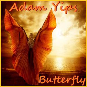 Picture for song 'Like A Puzzle ft Nomeli' by artist 'Adam Yips'