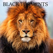 Picture for song 'happy in the country' by artist 'BLACK TORMENTS'