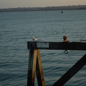 Picture for song 'TrapSoul - Alone Life' by artist 'waveyvibesmusic'