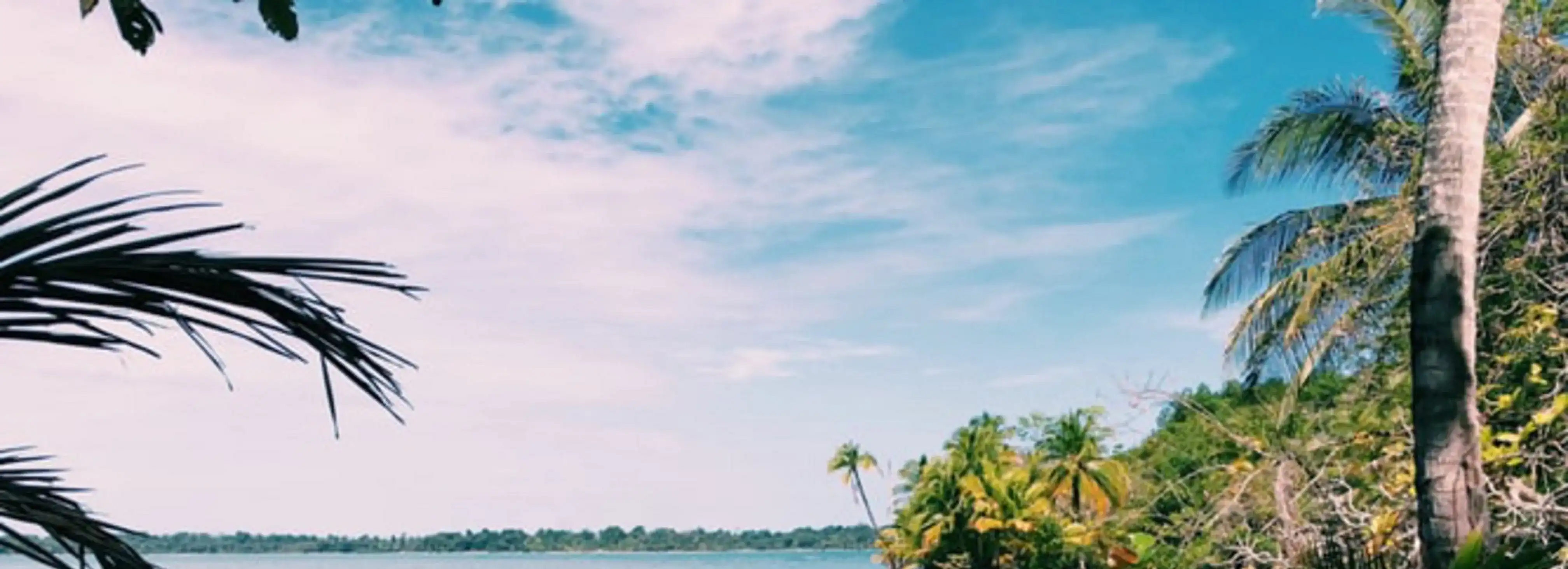 cover pic