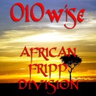 Picture for song 'African Fripp Division' by artist '010-Wise'